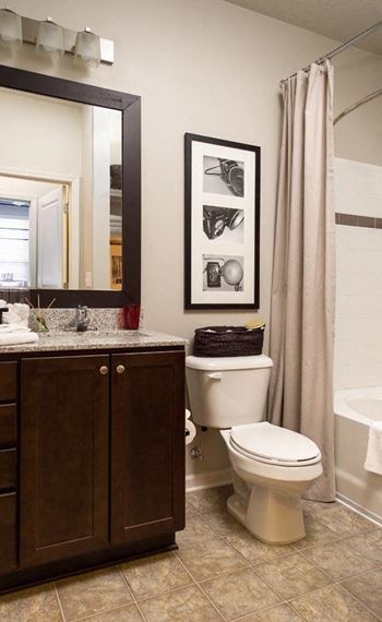 Model Bathroom decor at Walton Bluegrass, Aplharetta, 30005